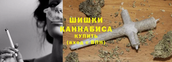 шишки Кодинск