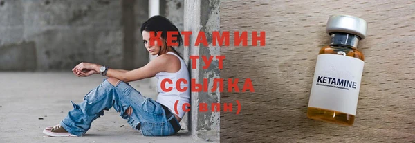 шишки Кодинск