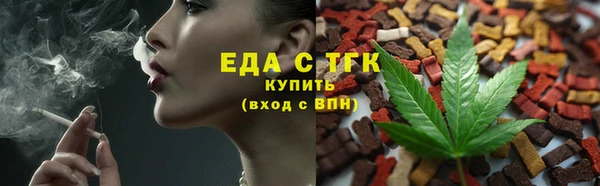 дмт Козельск