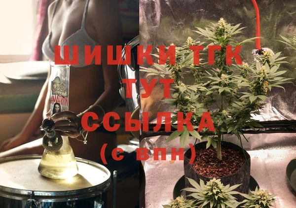 дмт Козельск