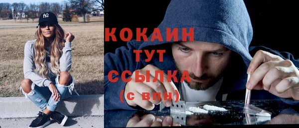 дмт Козельск