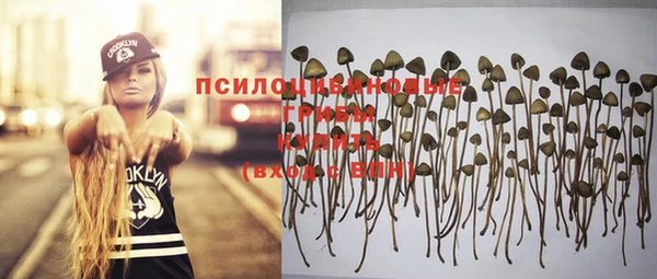 метадон Козловка