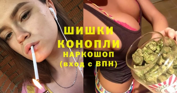 дмт Козельск