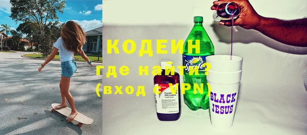 шишки Кодинск