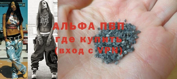 шишки Кодинск