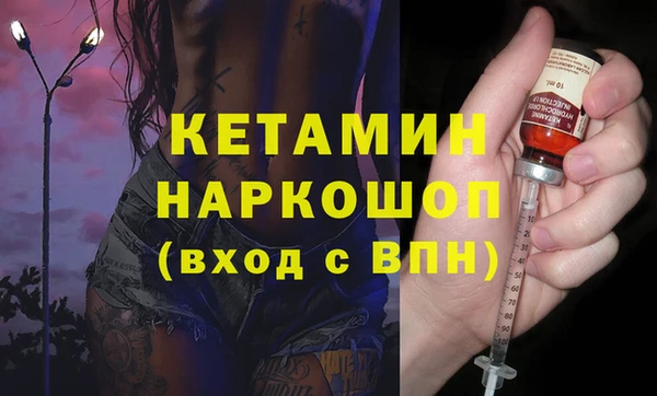 шишки Кодинск
