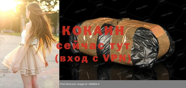 шишки Кодинск