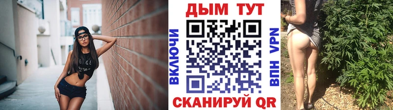 Купить где  Далматово  Бошки Шишки VHQ 